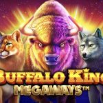 Buffalo King Megaways Review Lengkap Slot Online, RTP, Volatilitas, Fitur Bonus, Cara Menang, dan Rating Keseluruhan